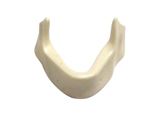 iDENTical Implant Practice Mandible Jaw Model M2025 – Realistic Dental ...