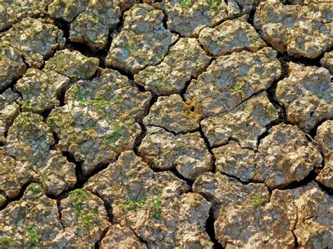 Ground Textrue Map 的图像结果