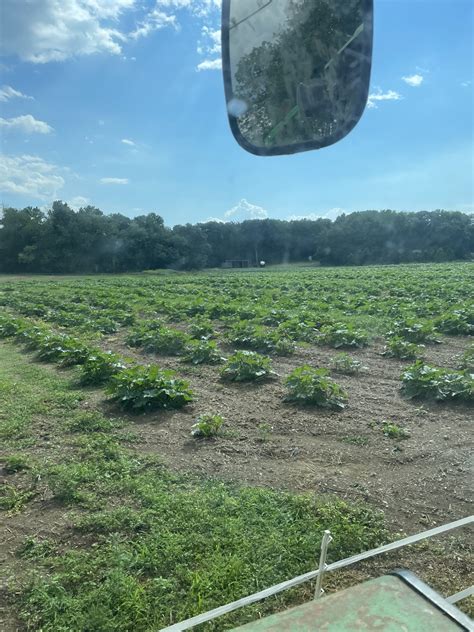 Farm to Table | Cerbo's Parsippany Greenhouse & Garden Center