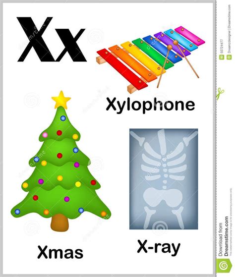 Alphabet letter X pictures stock vector. Illustration of learning ...