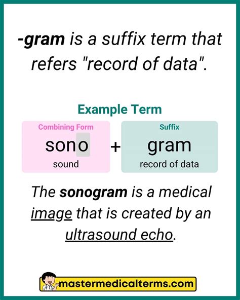 Gram Medical Term