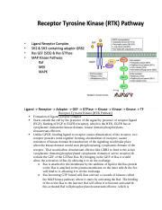 Image result for RTK Pathway Steps