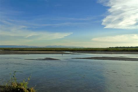 Can Our Turtles Champion Freshwater Conservation? | Nature inFocus