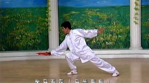 中国功夫扇第一套 第一套太极功夫扇分解教学,体育,武术,好看视频