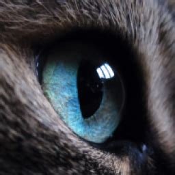 Image result for JavaScript Apostrophe in String