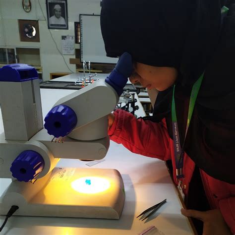 Image result for Free Fall Physics Apple