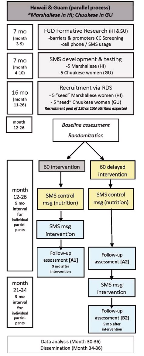 Image result for Research Project Schedule Example
