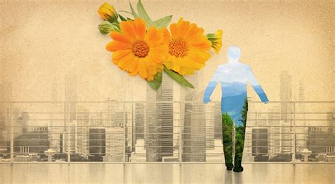 Image result for Authentic Word