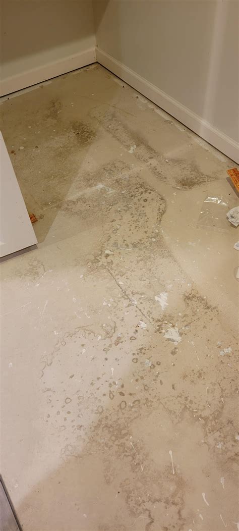 Stain or mold on concrete? : r/Mold