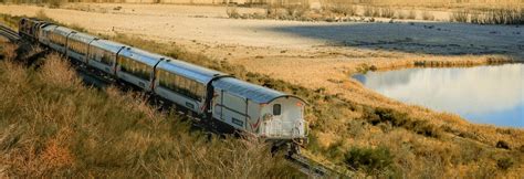 TranzAlpine train journey | 100% Pure New Zealand