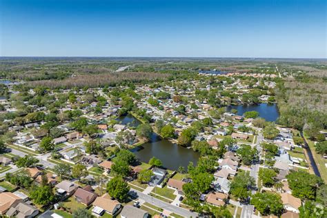 Northdale, FL City Guide | About Living in Northdale - Homes.com