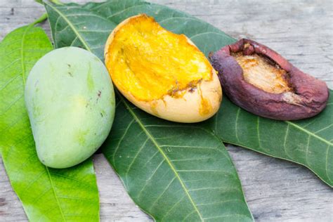 Image result for Color Perdition