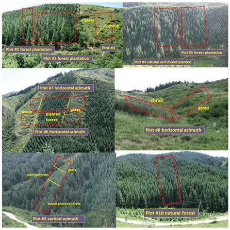 Reforestation Will Lead to a Long-Term Downward Trend in the Water ...
