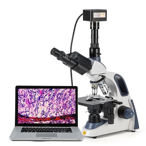 Swift Sw380t 40x 2500x Magnification Siedentopf Head Research Grade ...