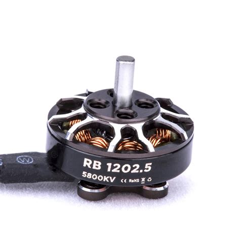 FLYWOO ROBO RB 1202.5 11500kv 2mm shaft FPV Motor – RC Mumbai