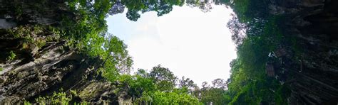 Famous Kerala Caves – Explore Ancient Wonders | IndianPanorama