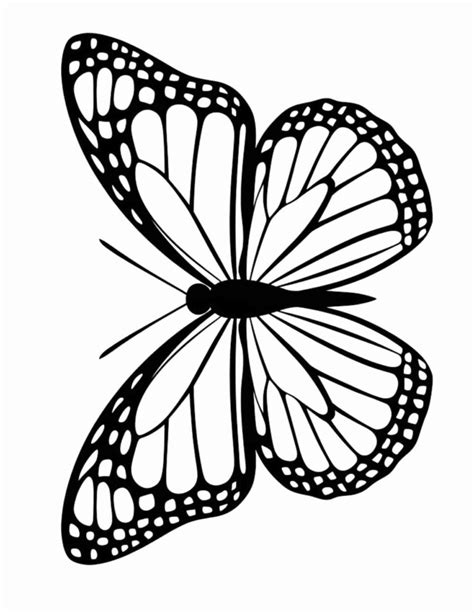 28 Gorgeous Butterfly Coloring Pages – My Coloring Spot