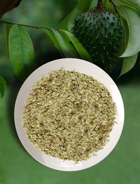 Organic Soursop Leaves