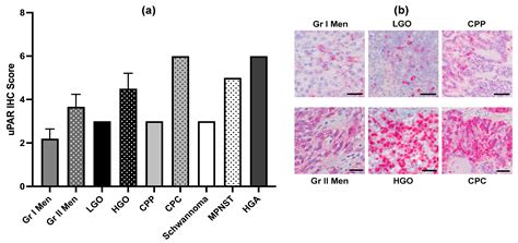 Phase I/II Trial of Urokinase Plasminogen Activator-Targeted Oncolytic ...