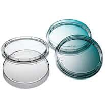 Petri Dishes and Contact Plates from Cole-Parmer India