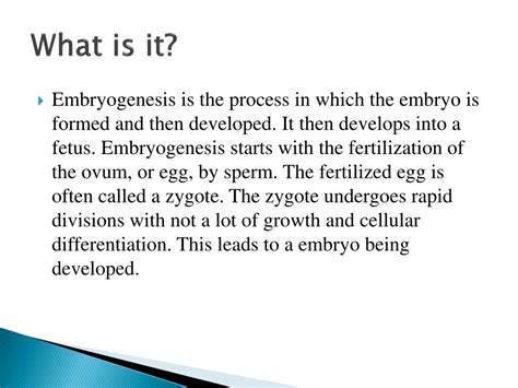 Image result for Embryogenesis Process