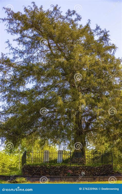 Nanyehi, Cherokee Known As Nancy Ward, State Park Editorial Photo ...