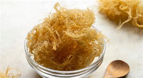 The Top 5 Nutrients Found in Seamoss and Their Health Benefits - AskMeAll