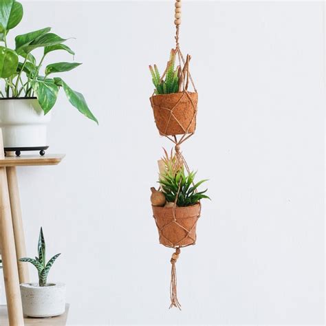 Buy Corsica Eden Artificial Succulent in Rope Net Hanger from Corsica ...