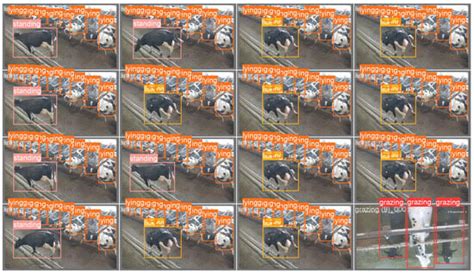 Animals | Special Issue : Precision Livestock Farming: New Techniques ...