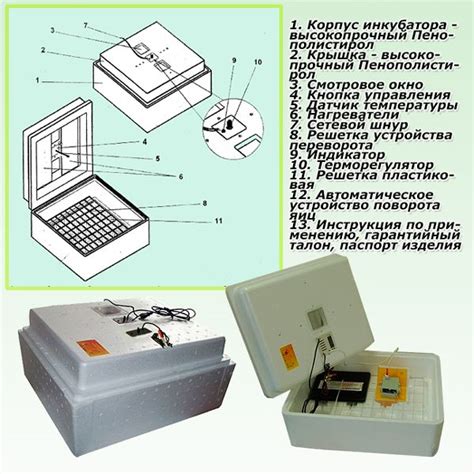 Схема инкубатора несушка. Устройство аппарата и инструкция