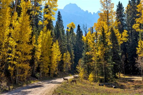 Image result for Java Interface Method Fields