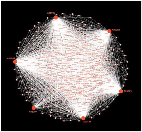 Transcriptome and Metabolome Reveal Accumulation of Key Metabolites ...