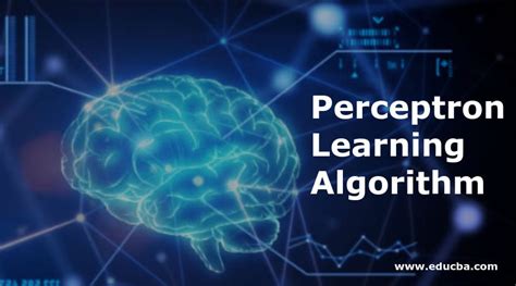 Image result for Perceptron Learning Algorithm and Example