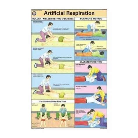First Aid Charts - Transport Of The Injured Trader - Retailer from Pune