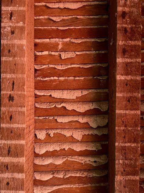 Plaster Wall Studs Fixing To Lath And Plaster Correctly | DIY Doctor