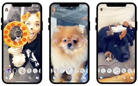 Snapchat Offers Augmented Reality Filters For Dogs 12/27/2018