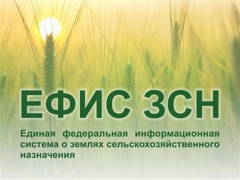 Ответы на часто задаваемые вопросы по работе в системе ЕФИС ЗСН