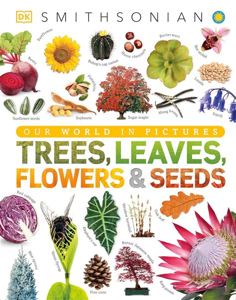 Trees, Leaves, Flowers and Seeds: A Visual Encyclopedia of the Plant ...
