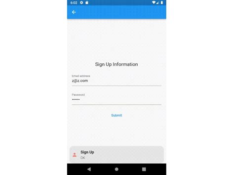 Flutter Firebase Authentication 的图像结果