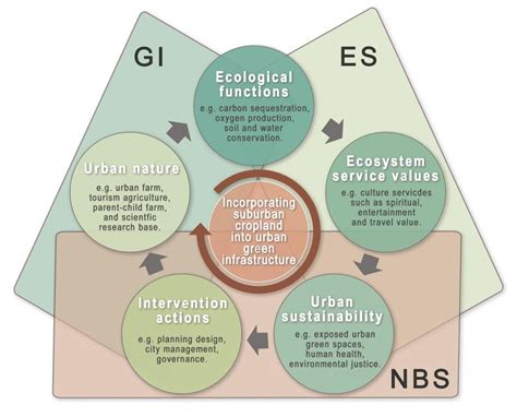 环境 的图像结果