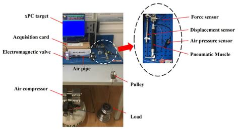 Extended-State-Observer-Based Super Twisting Control for Pneumatic ...