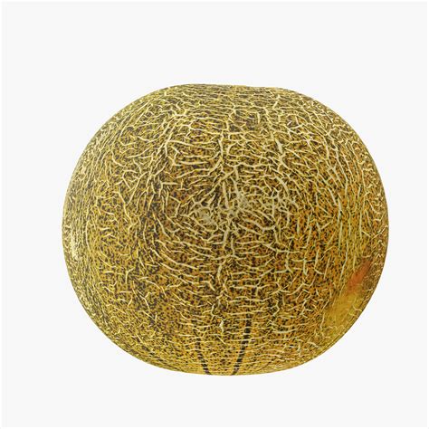 Melon 3D Models download - Free3D