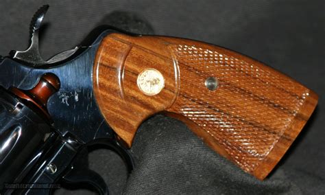 Image result for Bright Colt Python 2 1 2