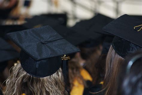 Image result for Graduation Cockroach