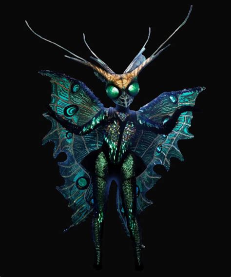 Image result for Masked Singer Butterfly Performances