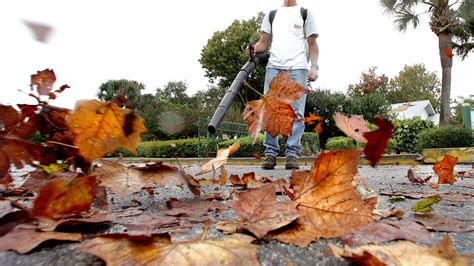 States and towns consider banning gas-powered leaf blowers and lawn mowers Background