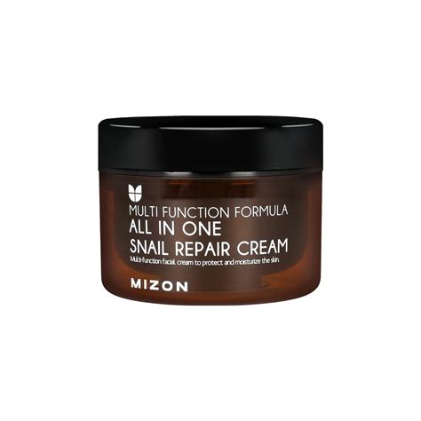 MIZON All In One Snail Repair Cream (120Ml) : Amazon.in: Beauty
