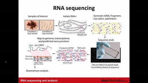 RNA Sequencing Method 的图像结果