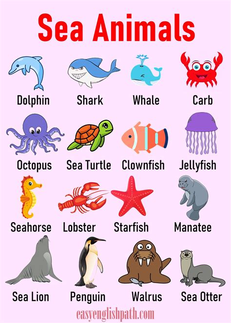 Animal Names in English with Pictures | Animals name in english, Sea ...