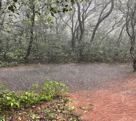 Matheran Trek | Compass Holidays & Adventure